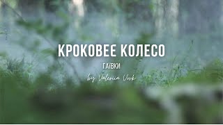 Кроковеє Колесо з М/Ф \