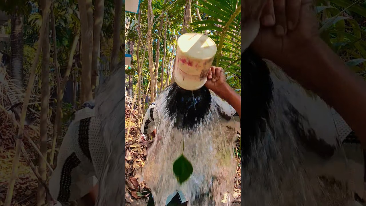 Survival Skills: single mom show SMART idea and USEFUL in forest 