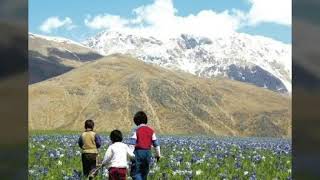 Ev Cıya Ruspı Ne...