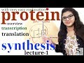 Protein synthesis  dna transcription and translation  protein synthesis from dna lecture1