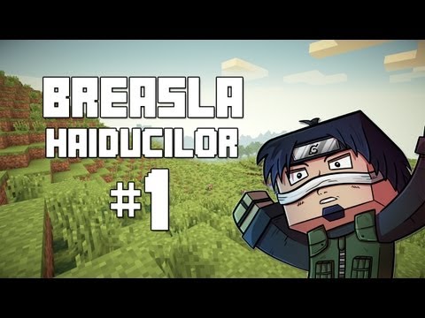 VIATA UNUI YOUTUBER DE MINECRAFT!