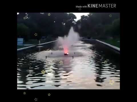 مجد العلي ارفعي راسك يا حلب IlAlA DejaM Bala7 AY KesaR I3afR 2020