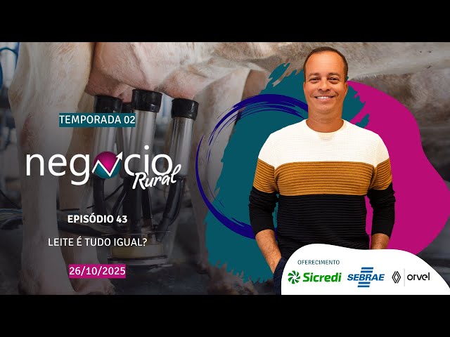 Negócio Rural - Temporada 02 - Episódio 43 - Leite é tudo igual? (26/10/2025)