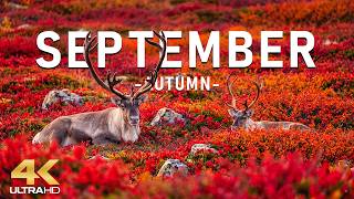 Autumn in September 4K 🍁 The Beginning of Fall 2026 | Golden Forests, Quiet Lakes & Peaceful Nature