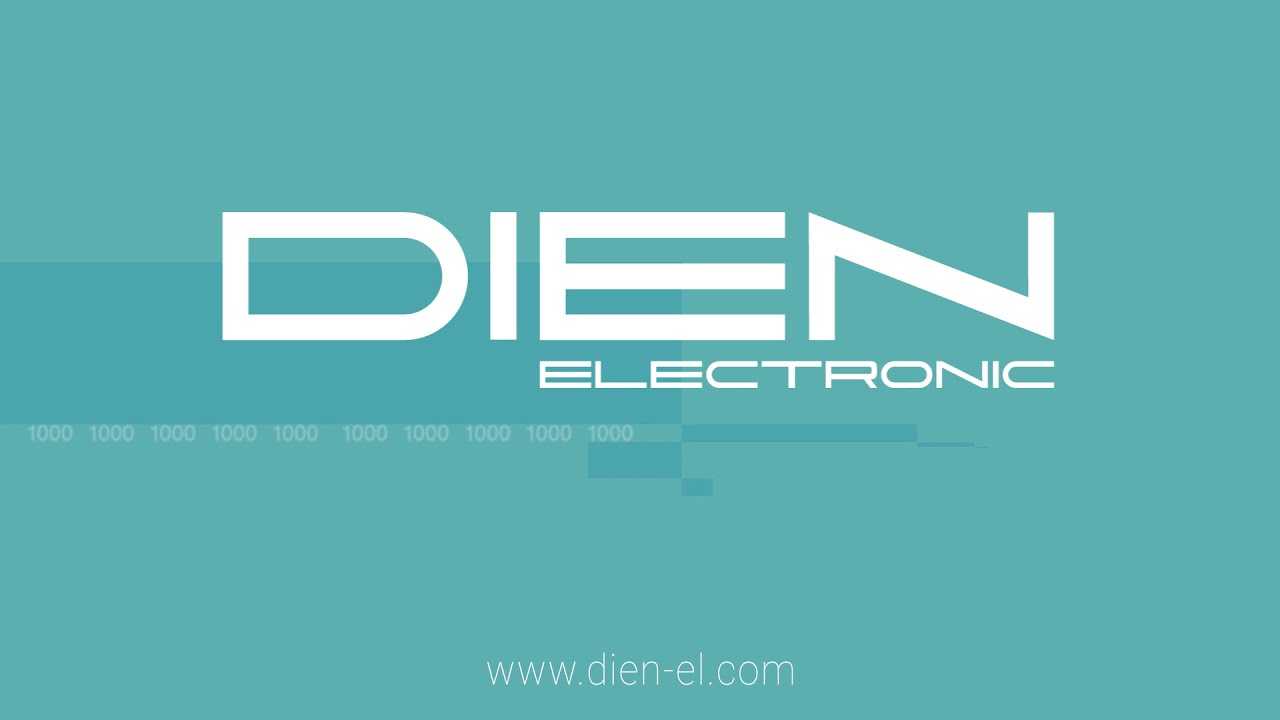 LED MODULES SERIES 1000 - DIEN Electronic Ltd.