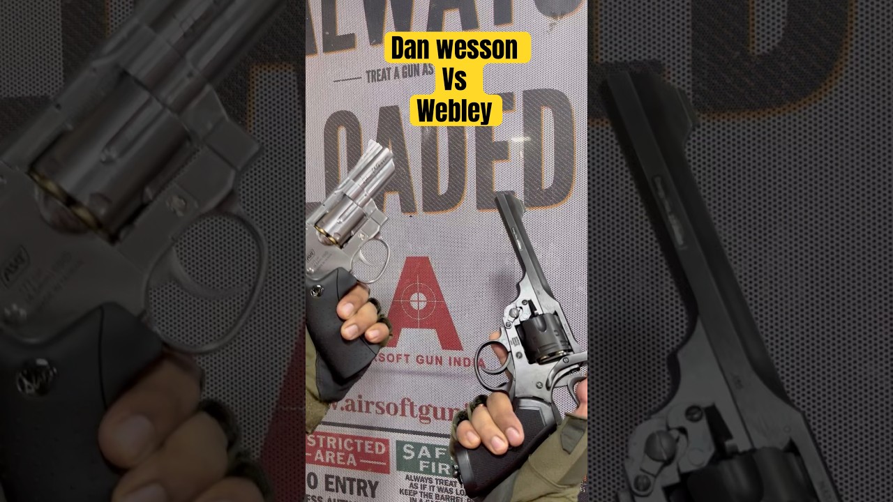 Dan wesson vs webley sports air gun 