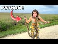 CATCHING MY FIRST GIANT PYTHON IN THE WILD! (Invasive Species)