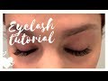 HOW I APPLY MY FALSE LASHES UNDERNEATH & NOT ON TOP