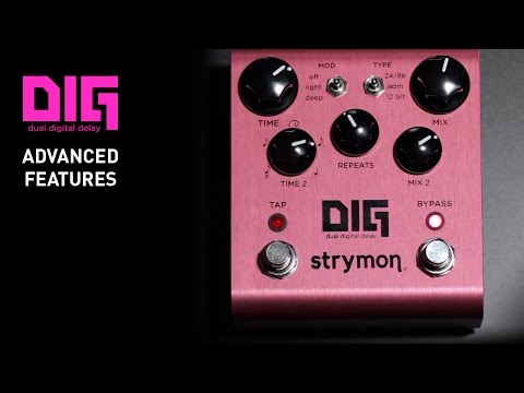 Strymon DIG Dual Digital Delay - Advanced Features