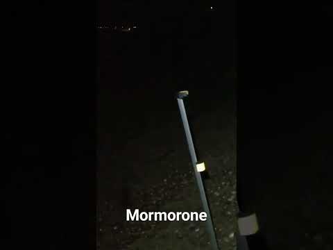 Mormora big #surfcasting