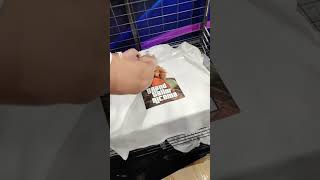 #dtfprinting #tshirtdesign #dtgprinter #printing #dtgprinting #machine #dtf #dtgprint
