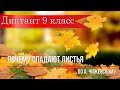 Диктант по русскому языку с проверкой! 9 класс.  Почему опадают листья.