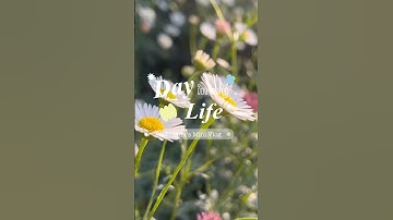 Day in my Life🍓 #minivlog #food #shorts #foryou #explore #weeklyvlog #subscribers #dayinmylife #fy