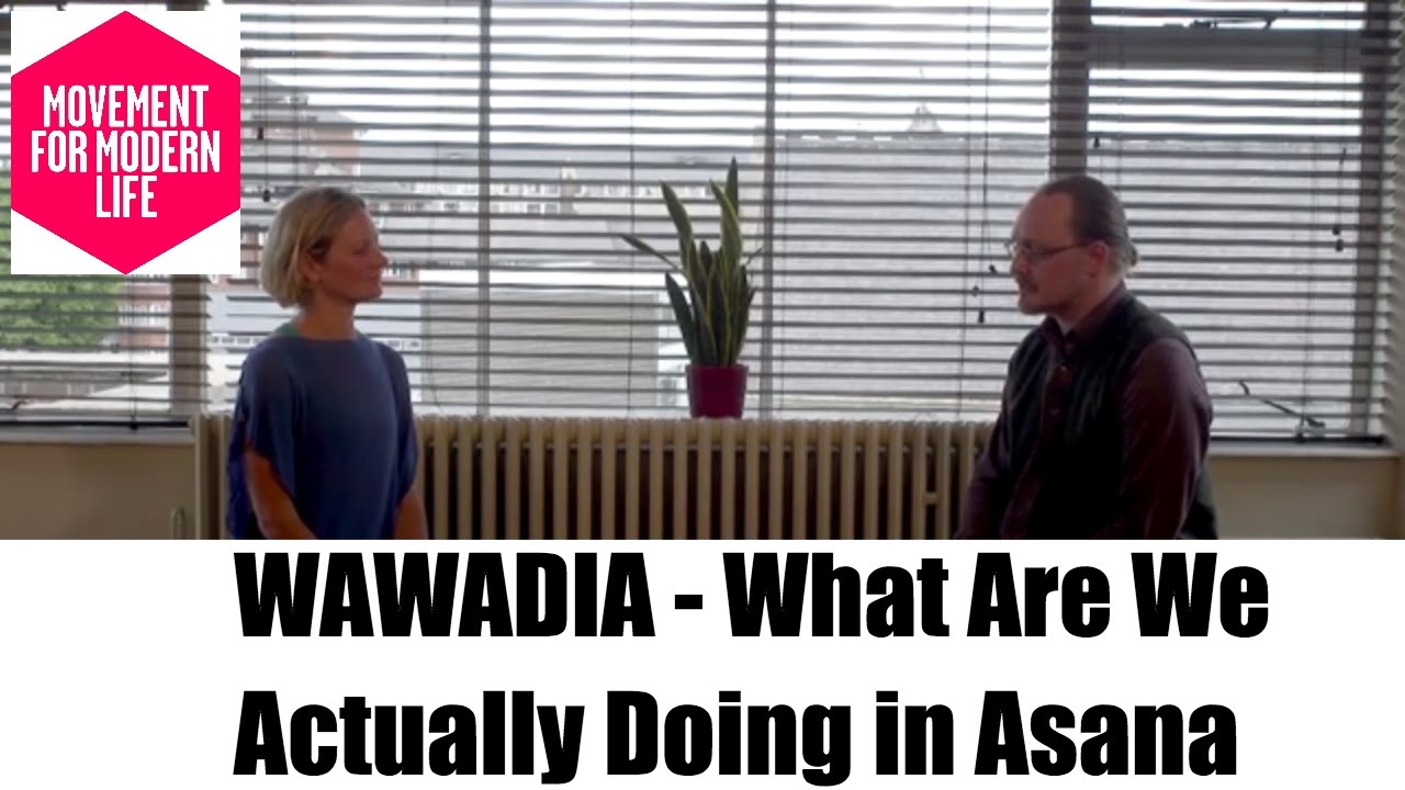 What Are We Actually Doing In Asana | Matthew Remski | Online Yoga | Movement for Modern Life