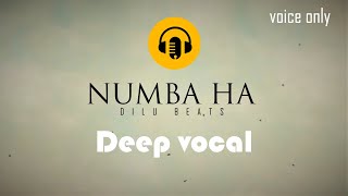 Video thumbnail of "DILU Beats - Numba Ha | Mage hitha hari kalabala  deep vocal"