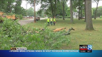 Storms damage trees, knock out power to thousands in W. MI