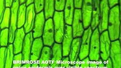 Brimrose AOTF Imaging Systems