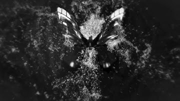 Twins Project - Velocity (Original Mix)
