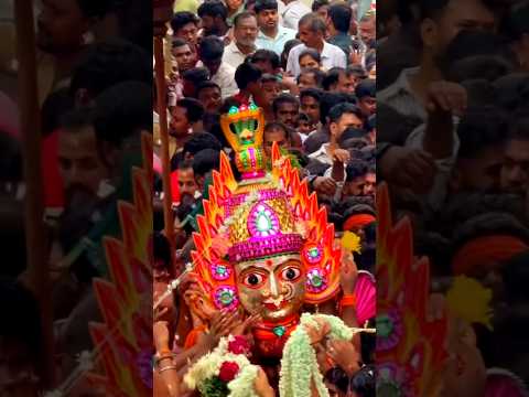 🌺 शारदीय नवरात्रि विशेष 🙏 माँ दुर्गा के दिव्य दर्शन | जय माता दी 🚩 | Durga Maa Darshan #Shorts