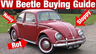 How To Buy A Classic VW Beetle | Everything You Need To Know!
