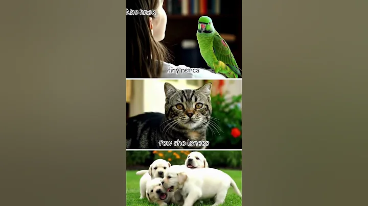 Cutest Pets Caught on Camera 😍 | Funny & Heartwarming Moments #Shorts