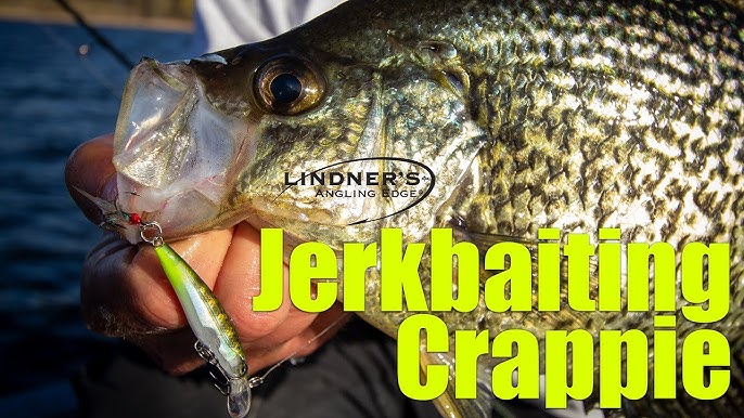 BUSTING Spring Crappies Fishing with Jerkbaits! 
