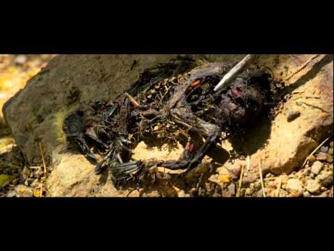 camera iphone 8 plus apk KRAMPUS RUE MORGUE