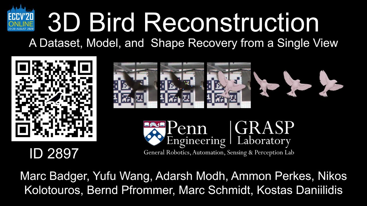 3D Bird Reconstruction: a Dataset, Model, and Shape Recovery from a Single View (ECCV 2020)