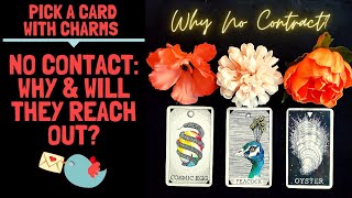 👤💔🤔WHY NO CONTACT? WILL THEY REACH OUT TO YOU?💞🔥👤|🔮CHARM PICK A CARD🔮