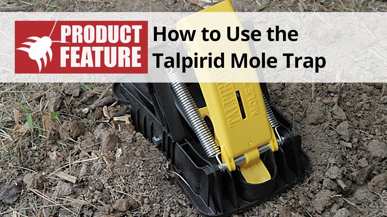 Tomcat mole trap - Classified Ads