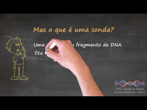 Vídeo: O que é hibridização em biologia molecular?