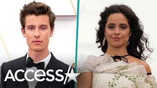 Shawn Mendes Details Coping W Camila Cabello Breakup