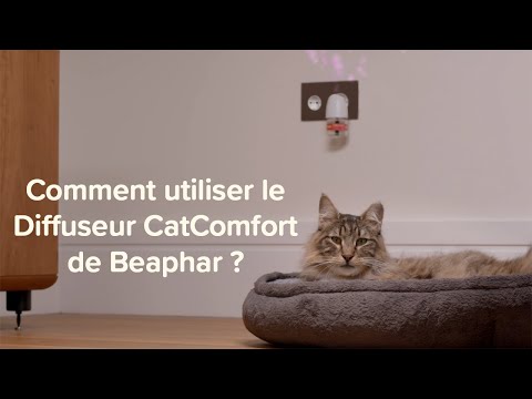 Comment utiliser le diffuseur aux phéromones CatComfort de