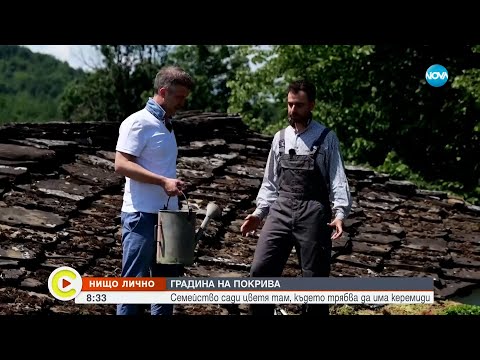 Нищо лично Семейство сади цветя там където трябва да има керемиди