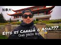 El Asia de Norteamérica, RICHMOND BC!⛩🏯...Barrios y ciudades de CANADÁ #3