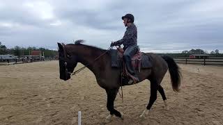 Beth Anderson on Angus WDAA BASIC LEVEL TEST 2
