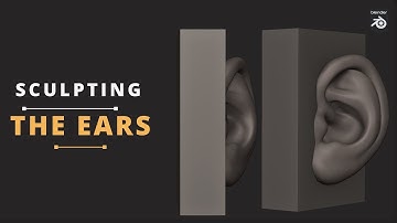 How To Sculpt The Ears in Blender