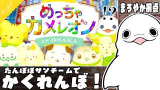【めっちゃカメレオン】まろやか視点🏵️めっちゃカメレオン in OSAKA🏵️ 【白・まろやかw/#たんぽぽサンチーム】