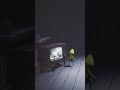 Six Tricks the Janitor with TV | Little Nightmares #shorts #letsplay #4k #4kvideo #gamingvideos