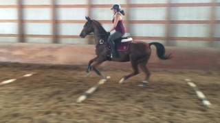 Lesson Riding Raws