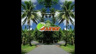 DJ Junior - Toto Vakawakana (feat. Cagi Ni Delai Yatova)