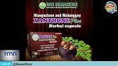 Mangosteen & Xanthones - The Health Benefits of Mangosteen 
