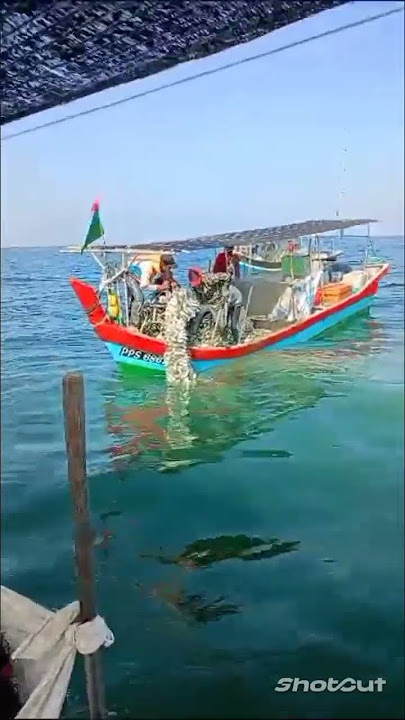 ikan Kembong beribu kilo pukat Hanyut Kuala Muda #fishing #fishing #nelayan #fisherman
