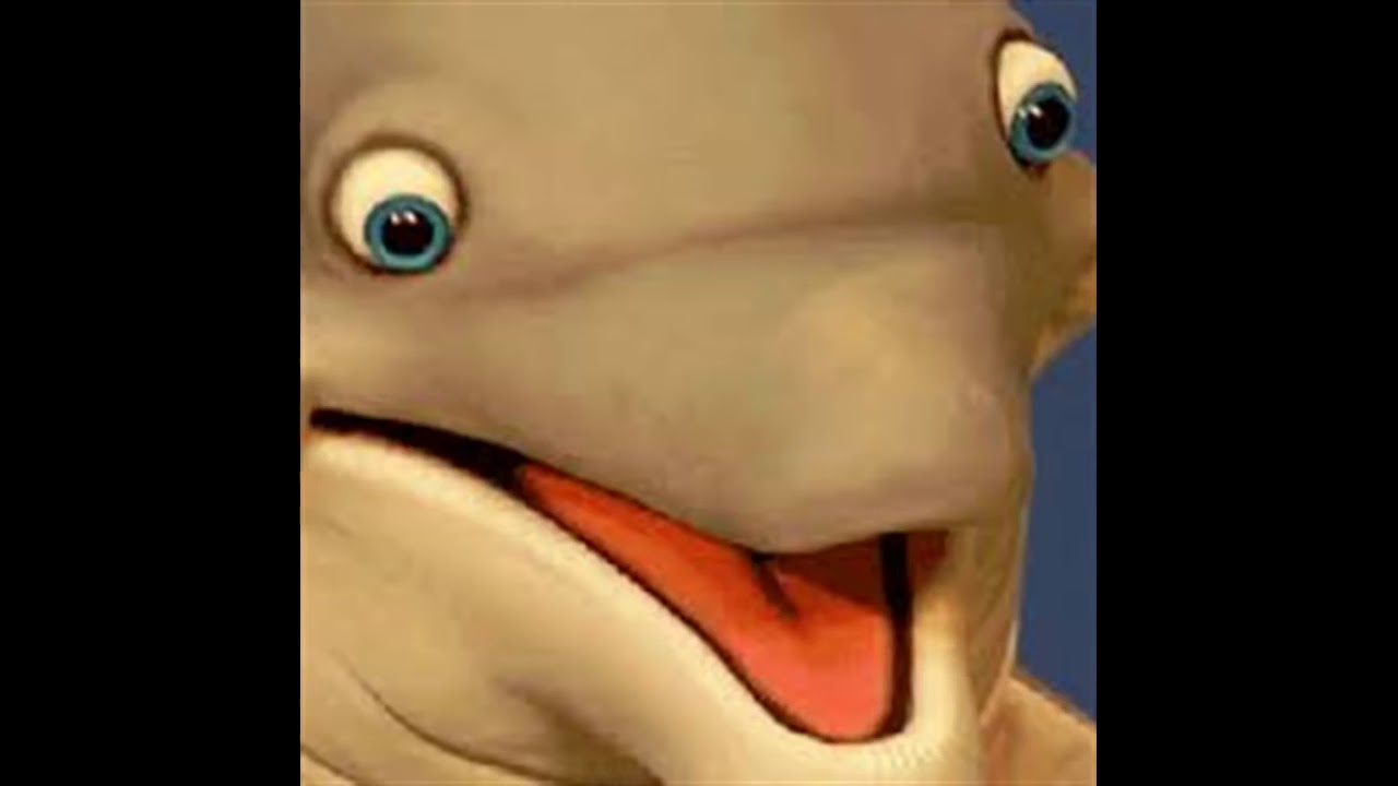 Failstation (Failstation's) The Retarded Dolphin (Sound Effect) - YouTube