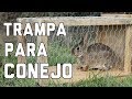 Trampa Para Conejo Casera | Trap For Rabbit | Caza De Conejo