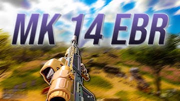 Mk 14 Reload Animation #insurgencysandstorm