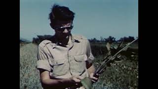 DeathtoW1947