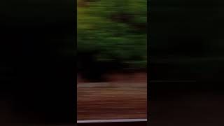 2025.10 .02  2113次區間竹北新竹窗景