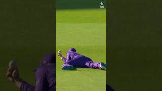 Nice Catch Wow Super Catching