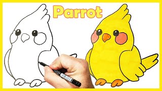 How to Draw a Cartoon Parrot Easy